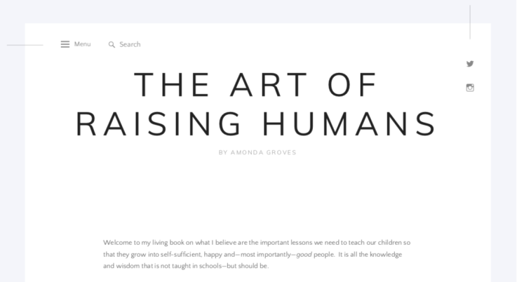 The Art of Raising Humans by Amonda Groves